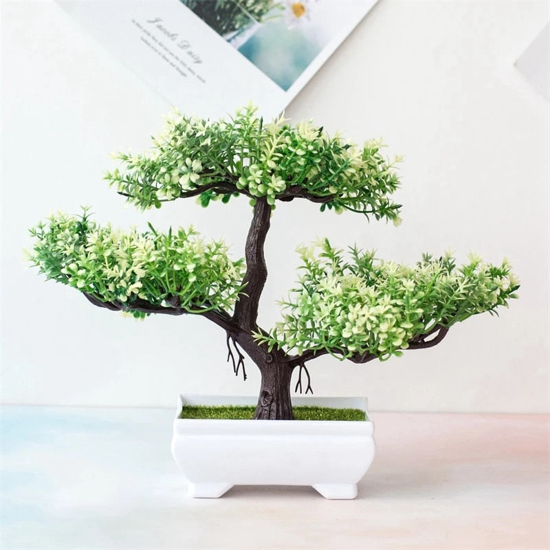 Bonsai Tree