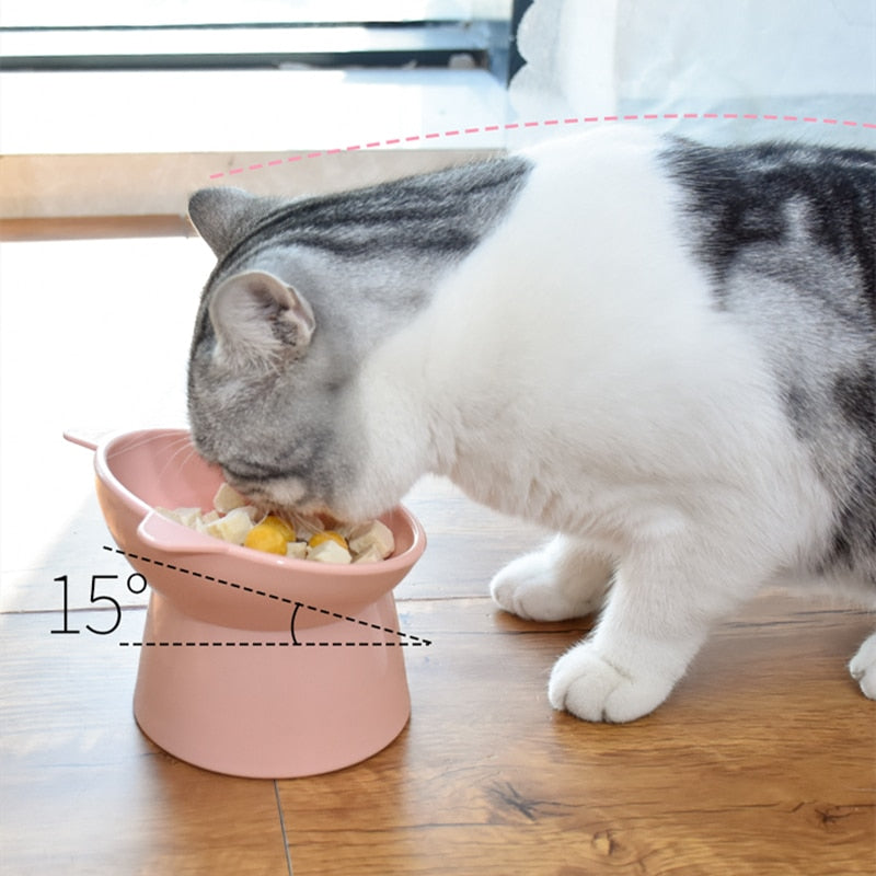 Food Bowl For Cats