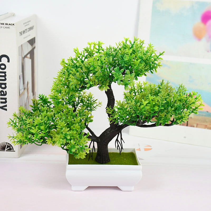 Bonsai Tree